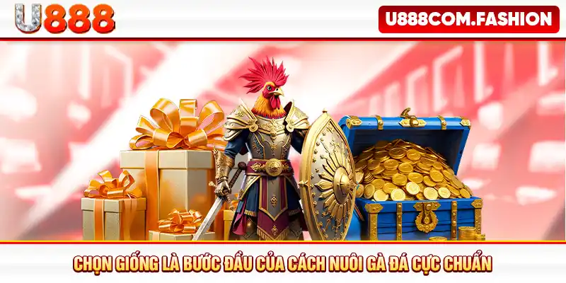 Chọn giống là bước đầu của cách nuôi gà đá cực chuẩn