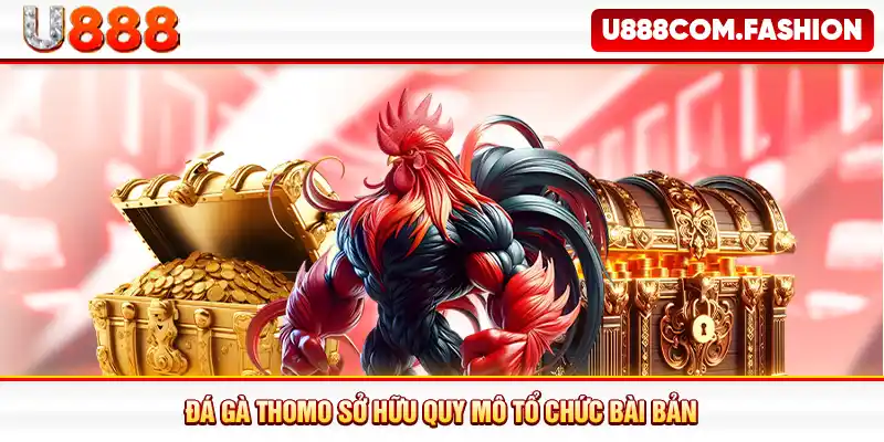 Đá gà Thomo sở hữu quy mô tổ chức bài bản