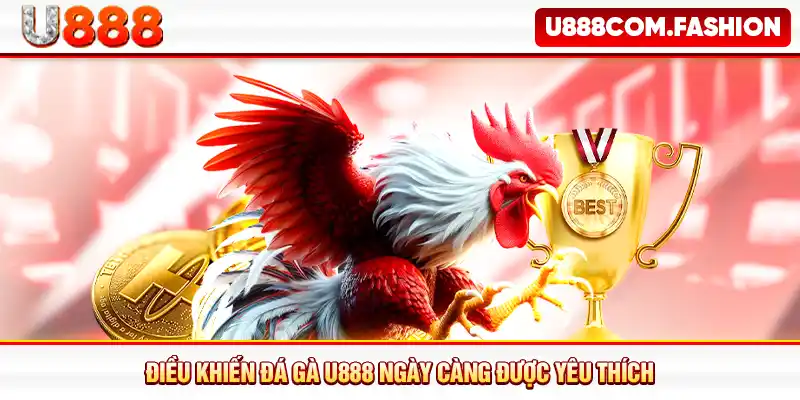 Điều khiến đá gà U888 ngày càng được yêu thích