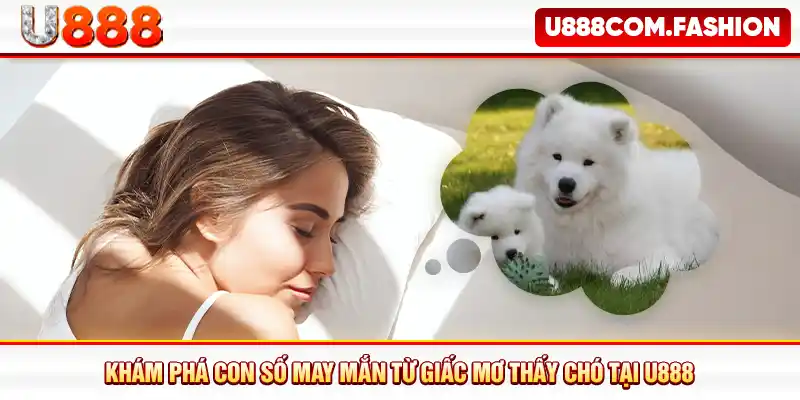 Khám phá con số may mắn từ giấc mơ thấy chó tại U888