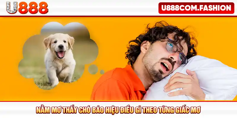 Nằm mơ thấy chó báo hiệu điều gì theo từng giấc mơ