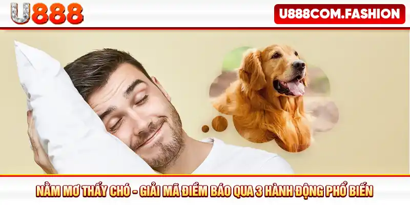 Nằm Mơ Thấy Chó - Giải Mã Điềm Báo Qua 3 Hành Động Phổ Biến