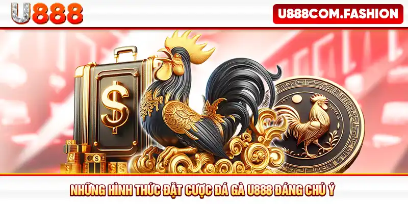 Những hình thức đặt cược đá gà U888 đáng chú ý 