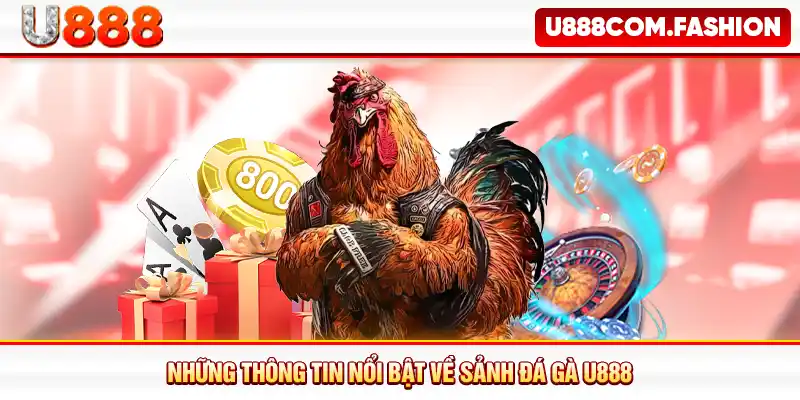 Những thông tin nổi bật về sảnh đá gà U888