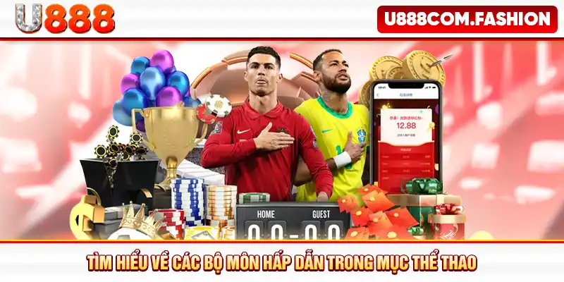 Tìm hiểu về các bộ môn hấp dẫn trong mục thể thao