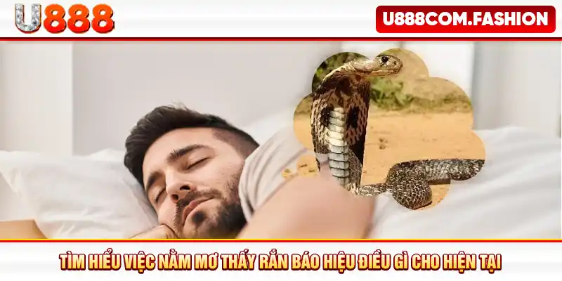 Tìm hiểu việc nằm mơ thấy rắn báo hiệu điều gì cho hiện tại