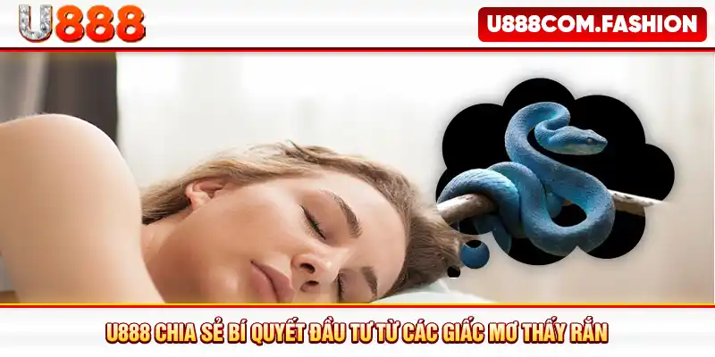 U888 chia sẻ bí quyết đầu tư từ các giấc mơ thấy rắn